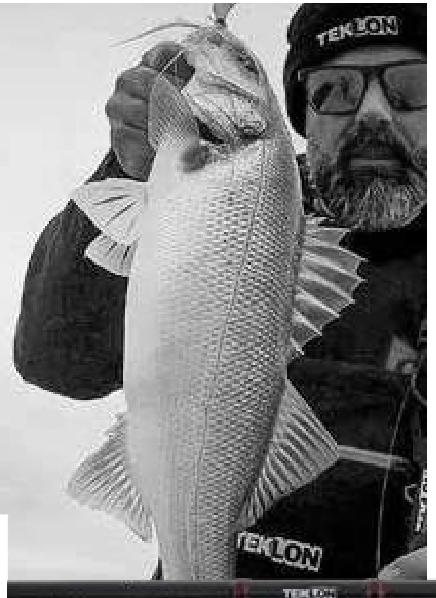 Acrab 泛用路亚竿